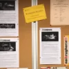 Rassegna Stampa – Fondazione Musicale Vincenzo Appiani