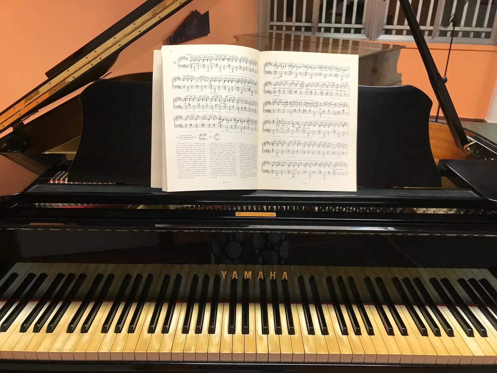Saggi Pomeridiani Anno accademico 2023 - 2024 – Fondazione Musicale Vincenzo Appiani