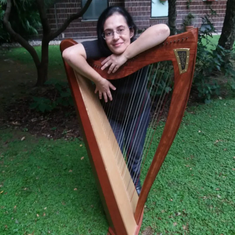 Open Day: Nuovo Corso di Arpa Celtica – Fondazione Musicale Vincenzo Appiani