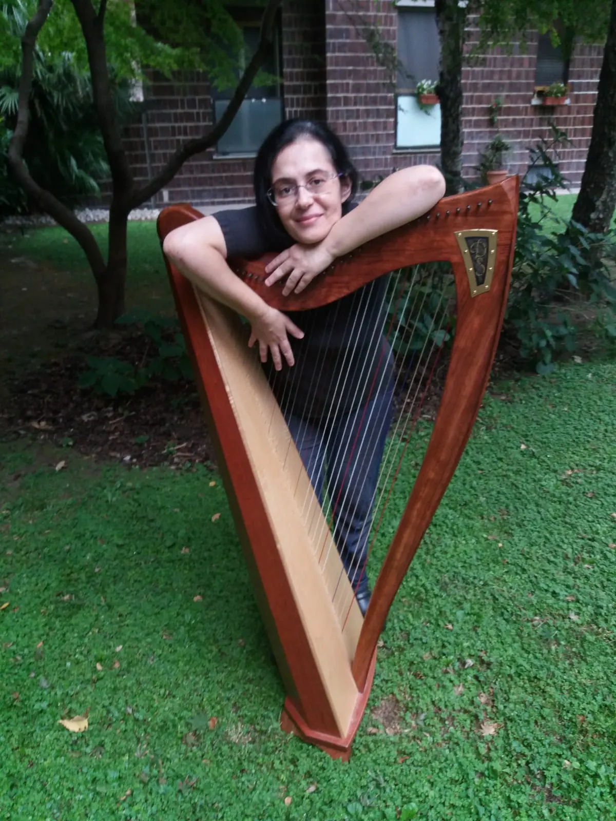 Open Day: Nuovo Corso di Arpa Celtica – Fondazione Musicale Vincenzo Appiani