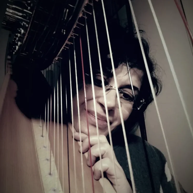 Open Day: Corso di Arpa Celtica – Fondazione Musicale Vincenzo Appiani