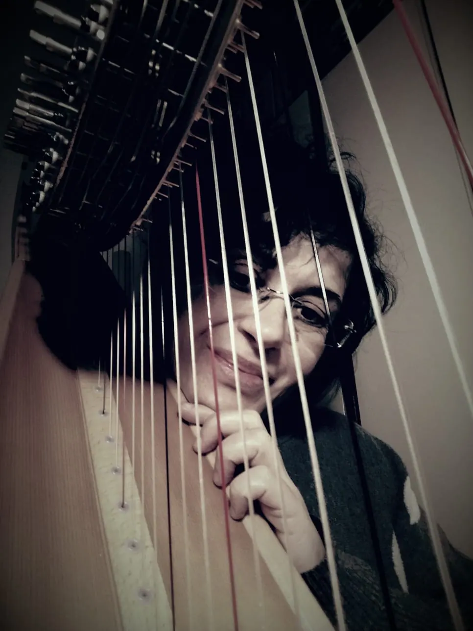 Open Day: Corso di Arpa Celtica – Fondazione Musicale Vincenzo Appiani