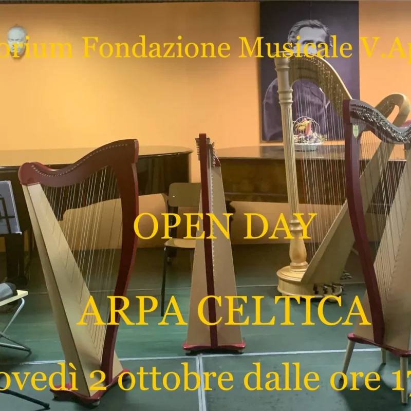 Open Day: Corso di Arpa Celtica – Fondazione Musicale Vincenzo Appiani
