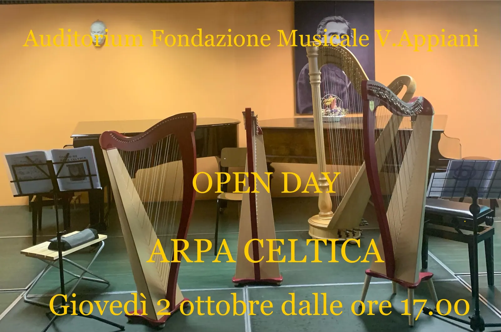 Open Day: Corso di Arpa Celtica – Fondazione Musicale Vincenzo Appiani